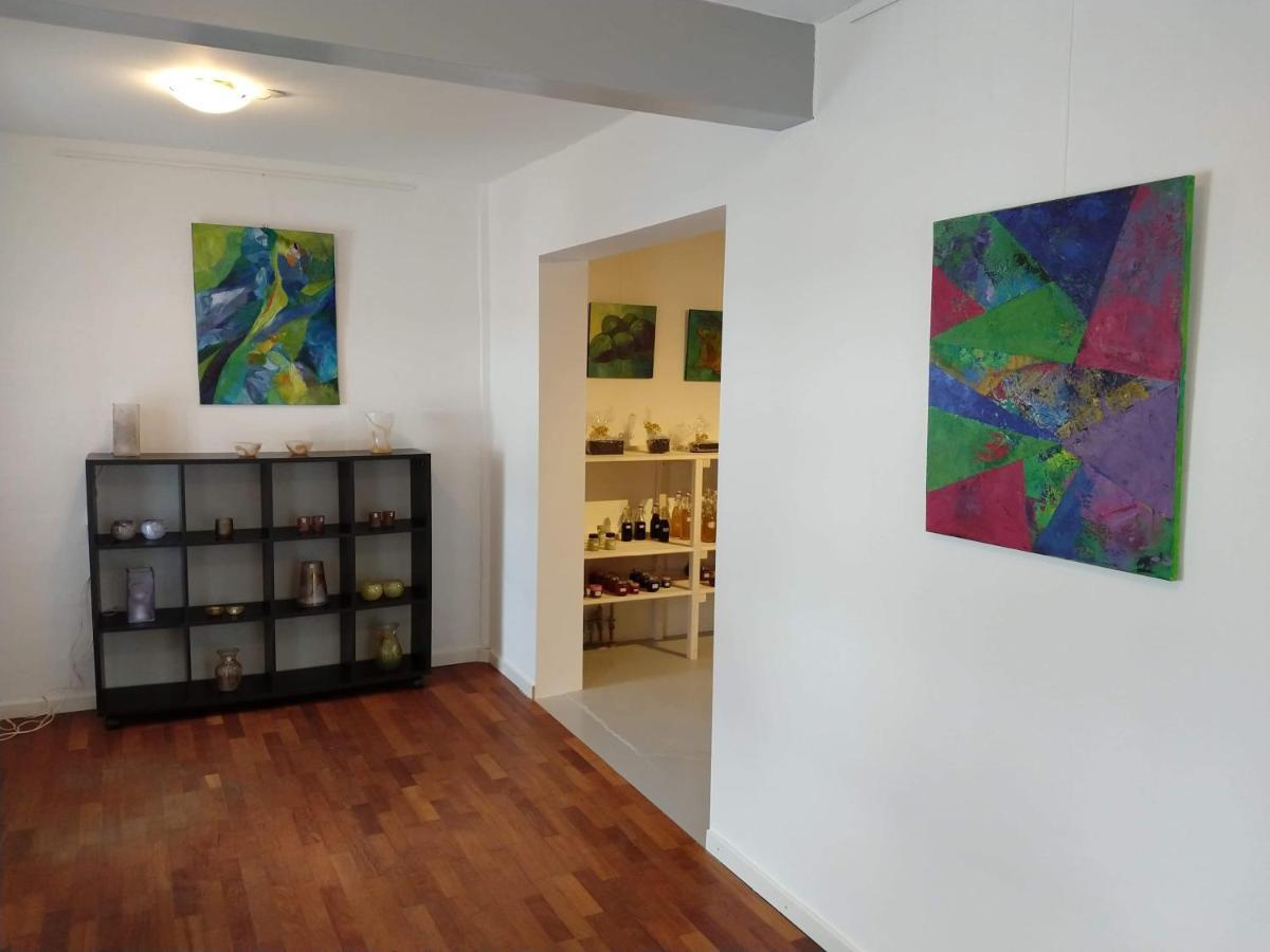 Molshojgard Apartment Knebel ภายนอก รูปภาพ